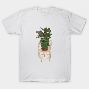 Calathea plant on a chair T-Shirt